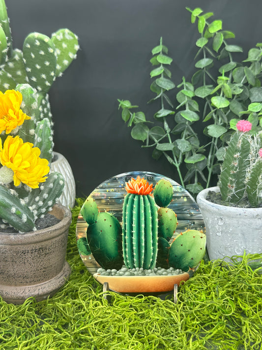 Cactus Bunch Ceramic, Coaster Round