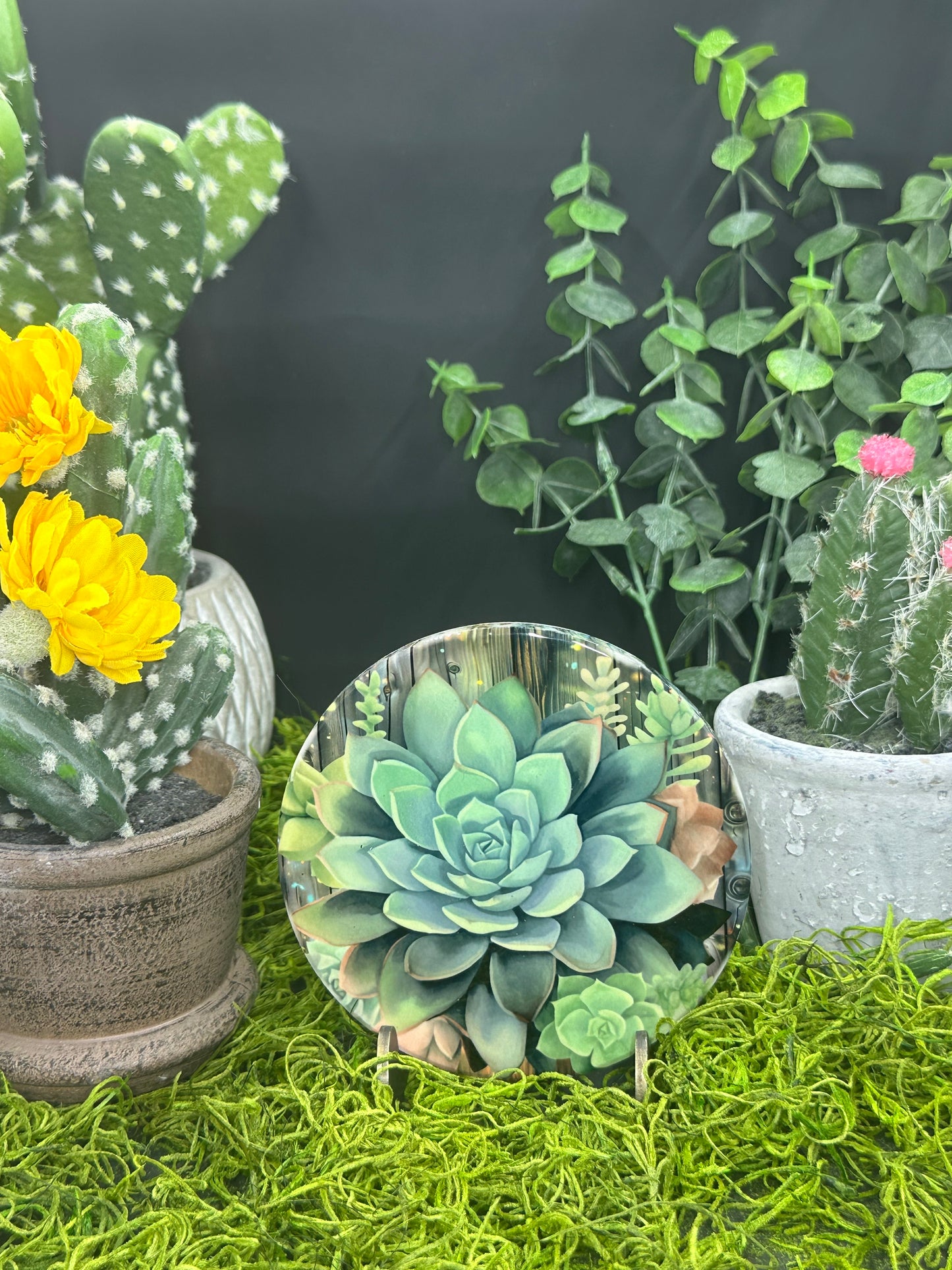 Cactus Hen Ceramic, Round Coaster