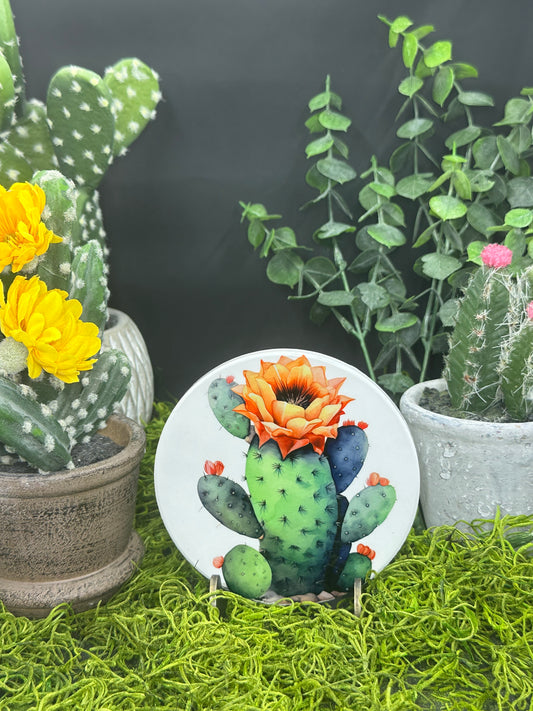 Cactus In Bloom Ceramic, Round Coaster